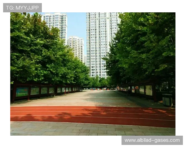 乐天体育app苹果平台支持多种支付方式，方便用户快速参与各类体育竞猜活动