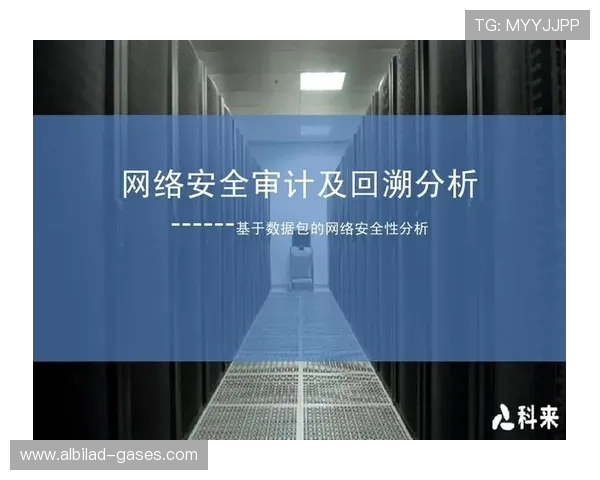 天堂app软件下载平台安全性分析，如何保障用户隐私与数据安全